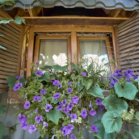 Apartment Baba Yagas House Rakhiv